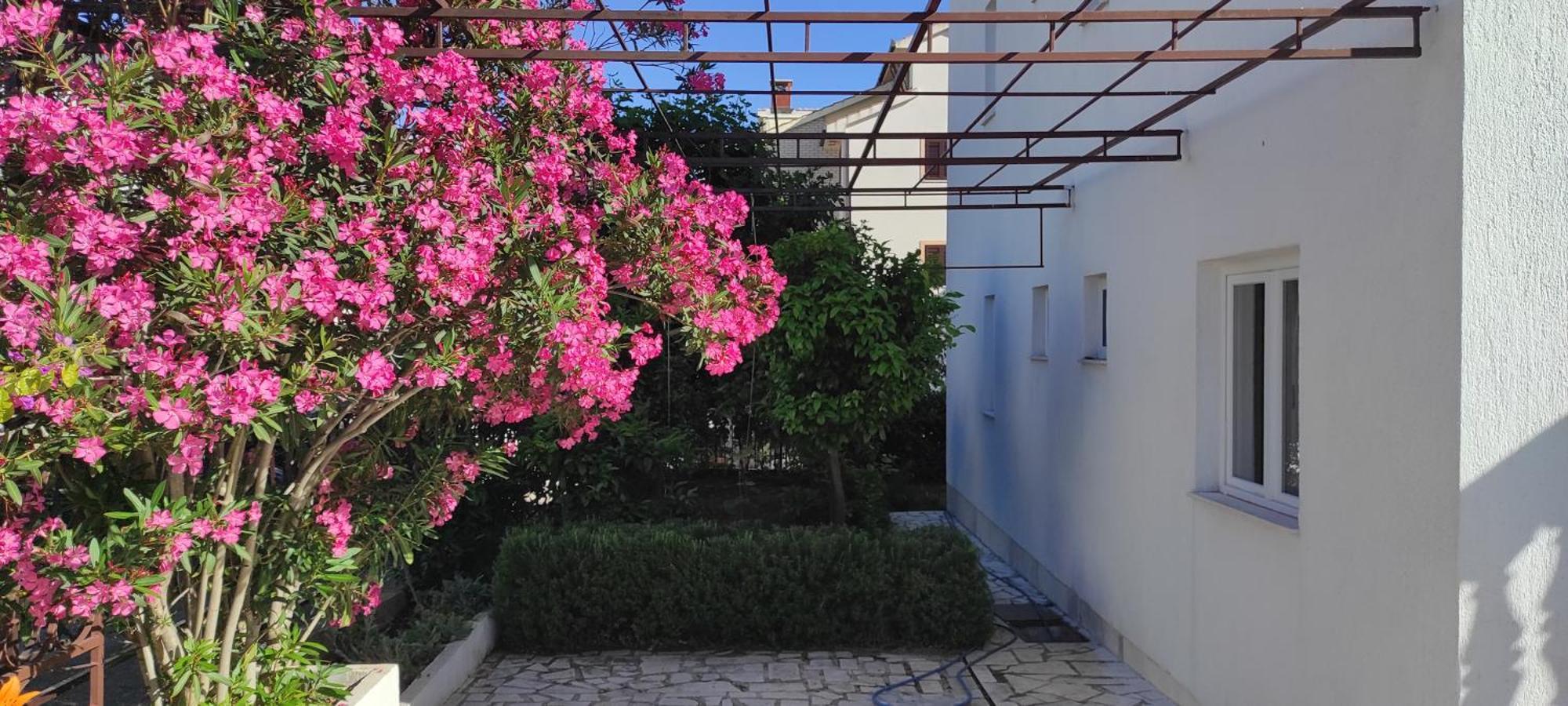 Villa Dusper Трогир Экстерьер фото